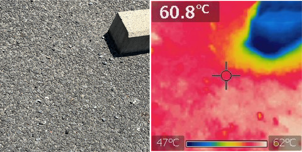 アスファルトの温度は60℃超え
